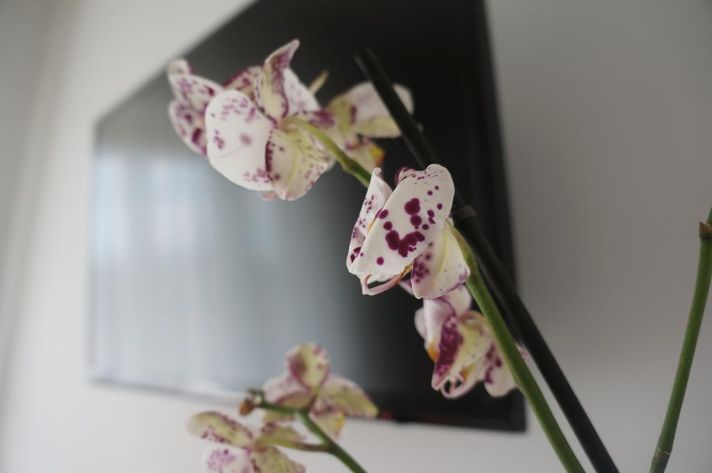 Lullymia Bed & Breakfast โครโตเน ภายนอก รูปภาพ